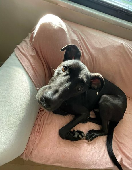 brycesgfkatya best model galleries