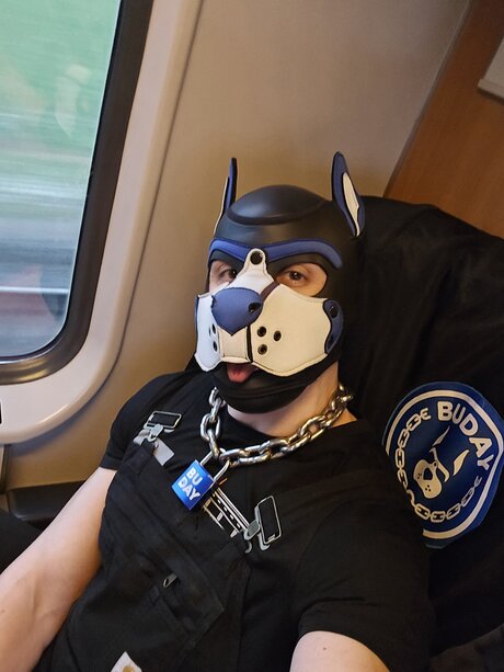 pupbuday beautiful model pic