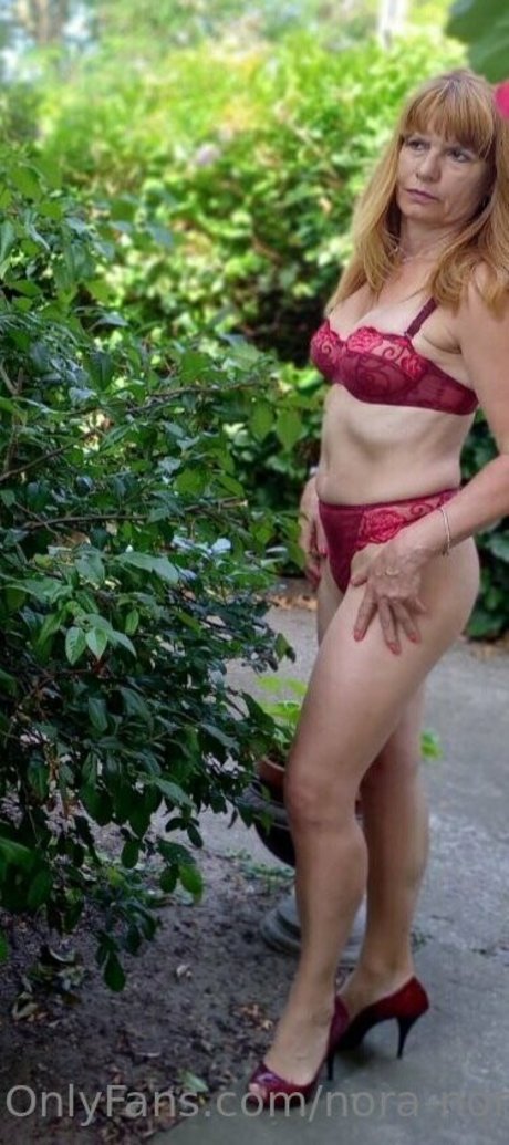 naked nora porn star picture