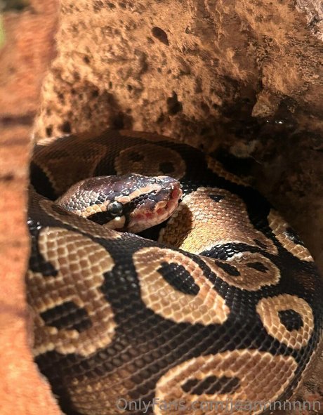 jeannnnnnn model pretty photos