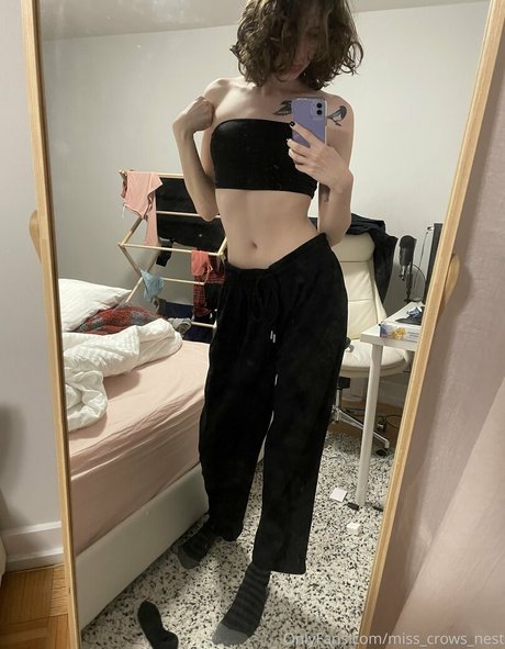 Miss Crows Nest star picture