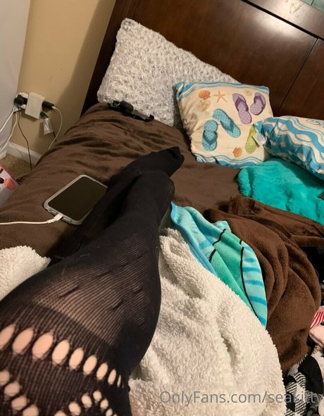 Seakitty hd star img