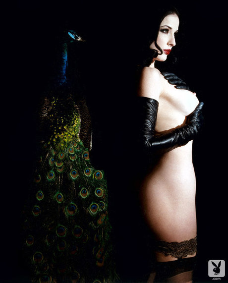 Dita Von Teese nudes model archive