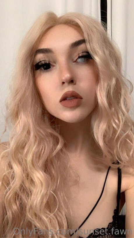 sunset fawn exclusive star gallery