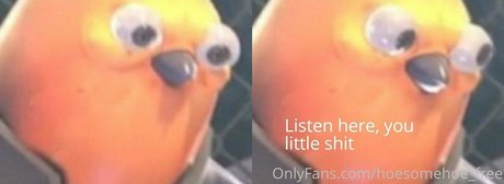 melissa cho chang free xxx pornstar photos