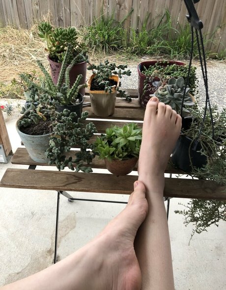 melissa cho chang free erotic star pics