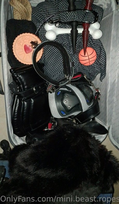 mini beast ropes star top galleries