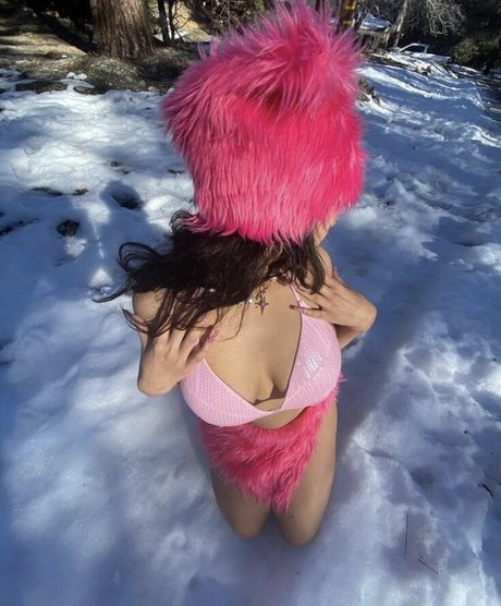 pureflesh pornstar top galleries