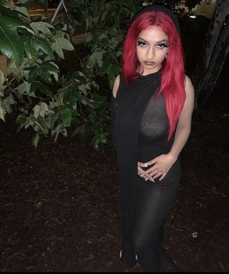 pureflesh perfect star pic