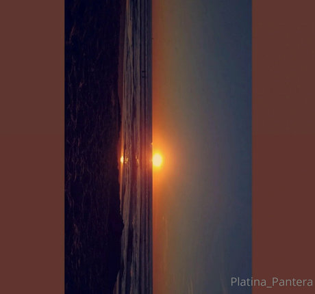 dds lil autumn sexy pornstar galleries