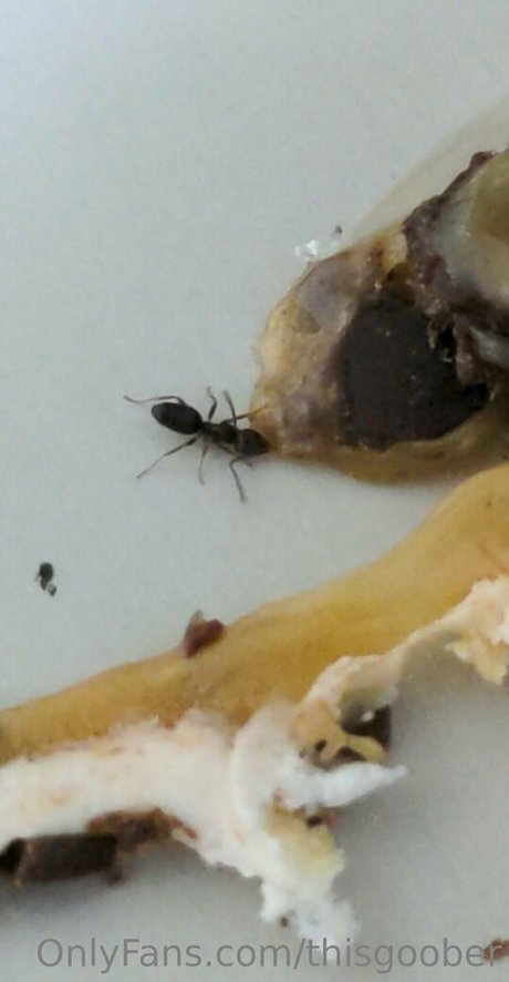 thisgoober erotic star pic