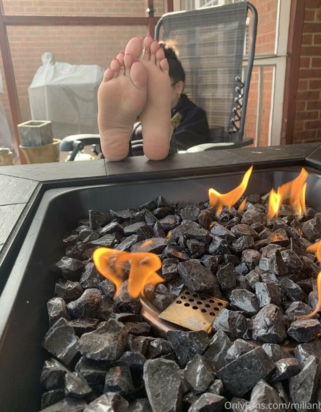 Miliani best star galleries