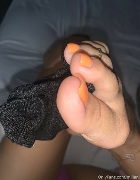 Miliani star top pic