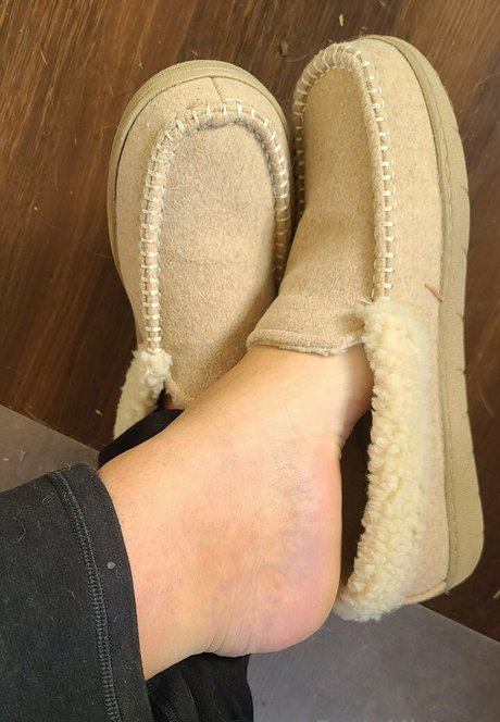 the footress model free img