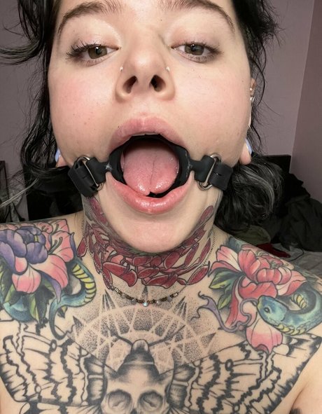 gillisbeennaughtyfree star top pic