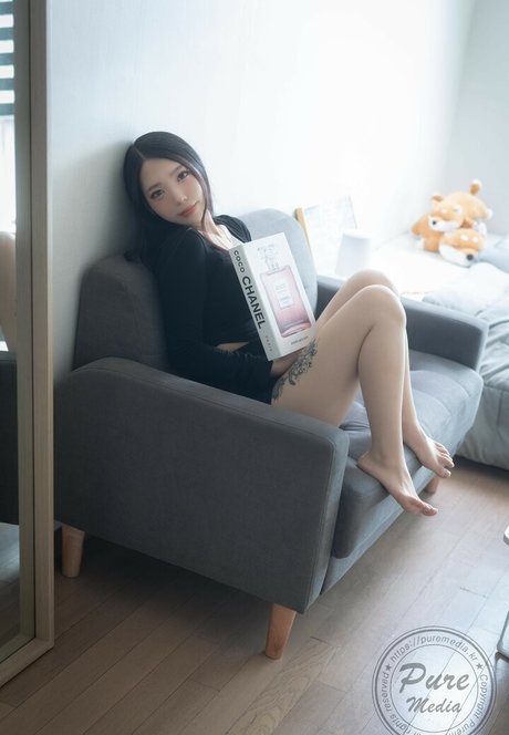 Pure Media adult star archive