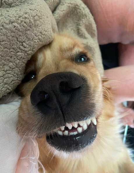 kayyybearfree sexy star archive