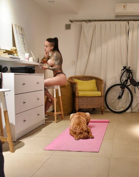 Lapecosafitness hd model archive