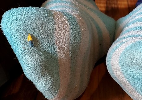 toepazfeetures hd pornstar archive