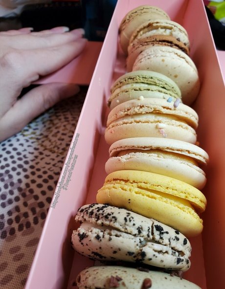 toepazfeetures model archive