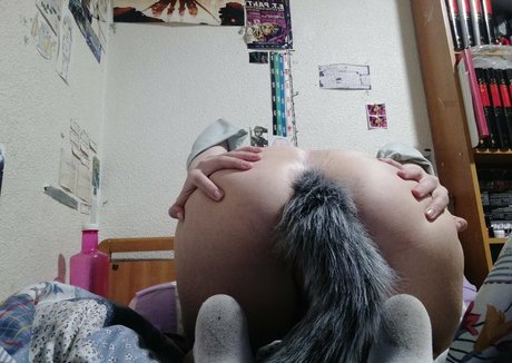 yoko foxy model archive