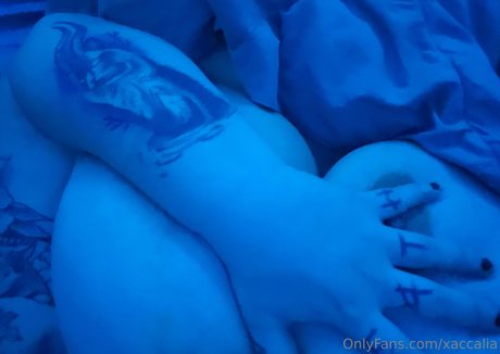 xaccalia sexy model archive