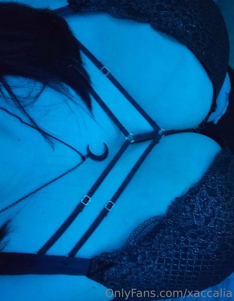 xaccalia hot pornstar picture