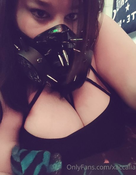 xaccalia art star gallery