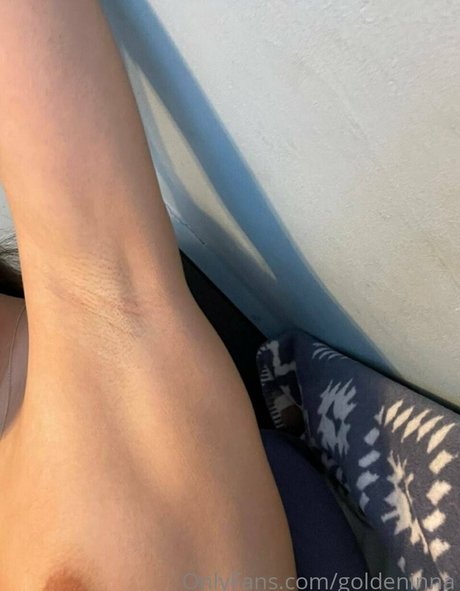 goldeninnafree model free img