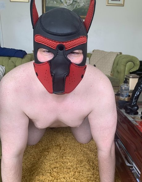 mc joris hd star pic