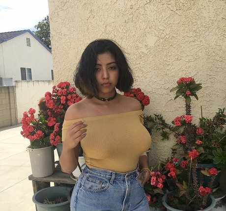 Sadd Pup star beautiful pictures