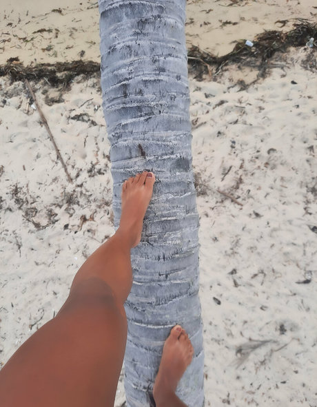 petitekate9 star best gallery