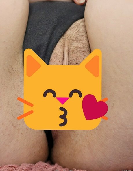 mmaid98 star art galleries