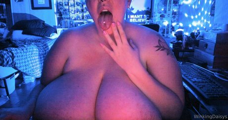 winkingdaisys hd star galleries