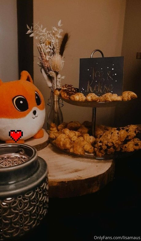 lisamaus star art pic