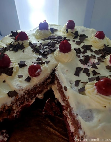 lisamaus art pornstar galleries