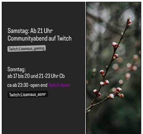 lisamaus exclusive star galleries