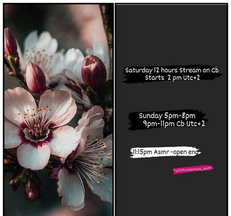 lisamaus naked model picture