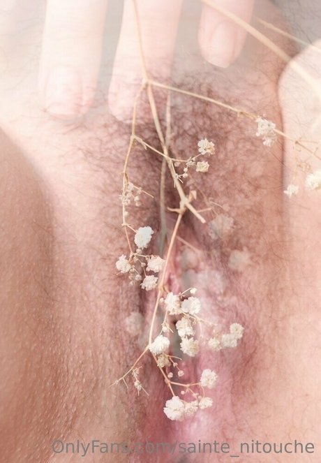 sainte nitouche porn model gallery