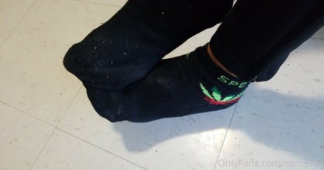 sbmeros star erotic img