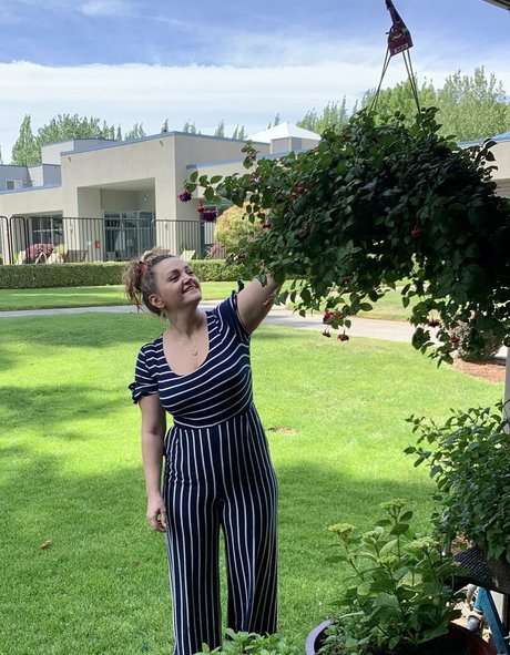 mama cabbage vip star porn img