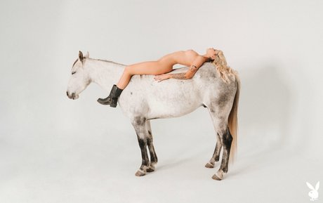 Ryan Hadarah pornstar sex photo