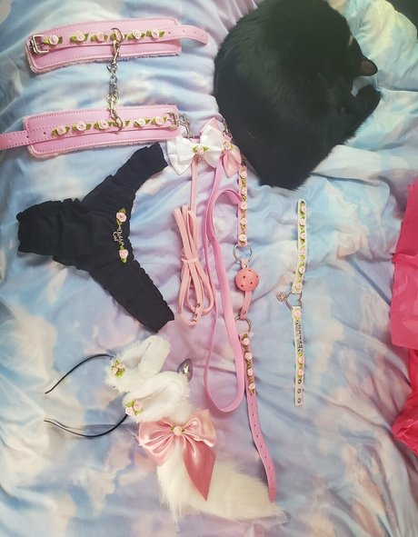 flow3r kitt3n top model image