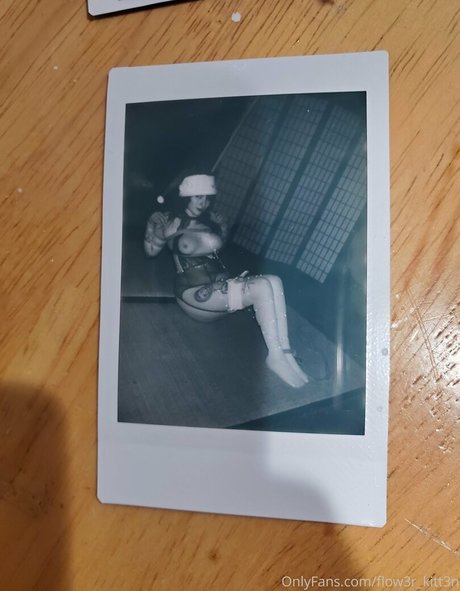 flow3r kitt3n star nice pictures