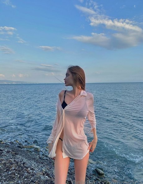 Imelina best model img