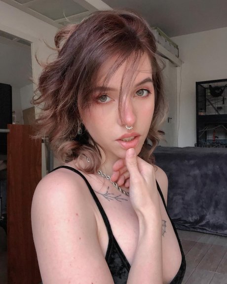 Xailurus pornstar beautiful photo