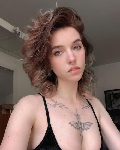 Xailurus star high quality galleries