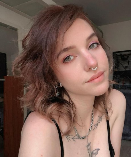 Xailurus art star pics