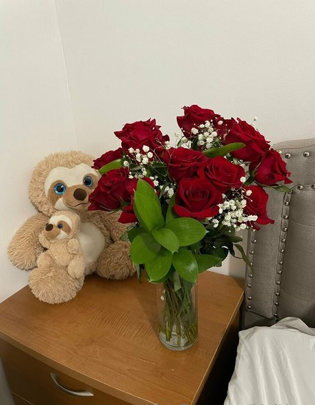 maihero model hd picture