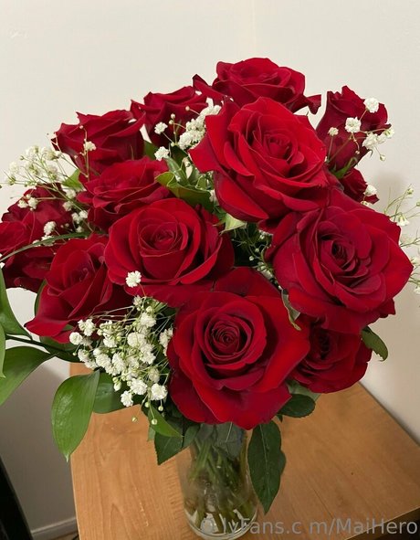 maihero adult model photo